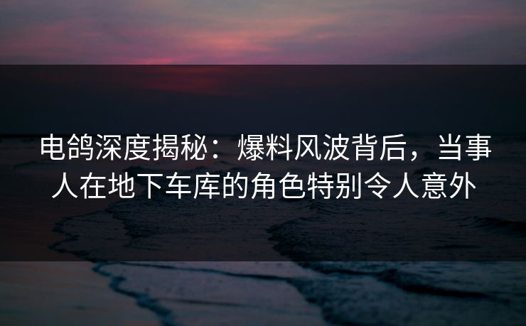 电鸽深度揭秘：爆料风波背后，当事人在地下车库的角色特别令人意外